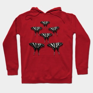 Flock of Zebra Swallowtail Butterflies with Shadows Hoodie